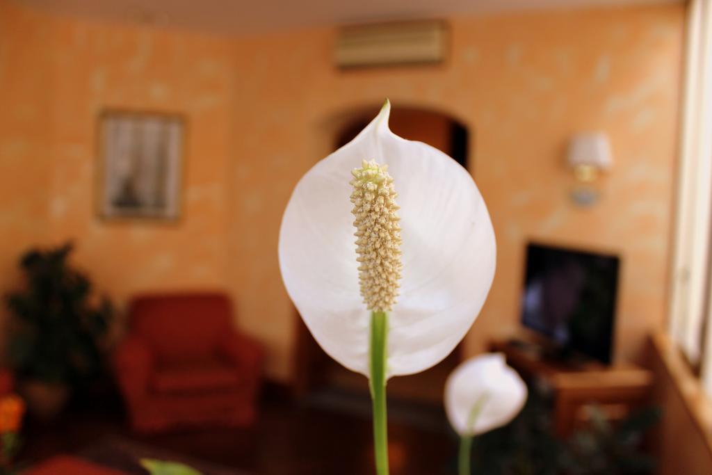 Hotel Beatrice ฟลอเรนซ์ ภายนอก รูปภาพ