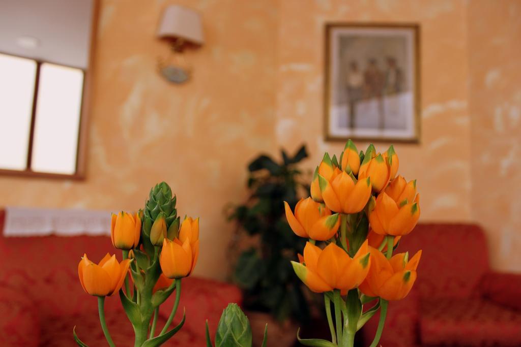 Hotel Beatrice ฟลอเรนซ์ ภายนอก รูปภาพ